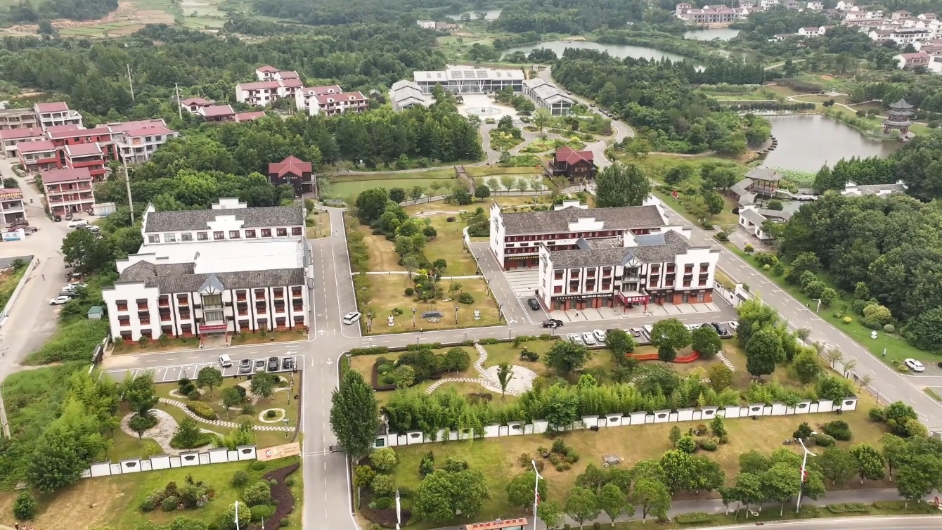 华夏香都”飘香全球的产业密码开元棋牌香从何处来?金溪“(图3) 华夏香都”飘香全球的产业密码开元棋牌香从何处来?金溪“(图3)